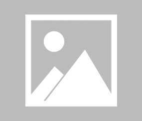 爱游戏官网-里程碑夜菲尼克斯太阳主帅复盘，德甲今夜刷纪录，赛场秩序良好，数据趋势出现新变化的简单介绍